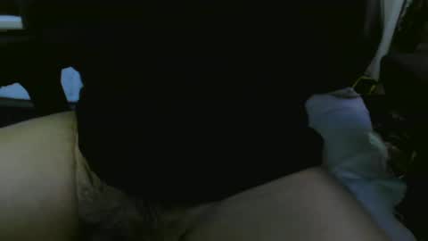 1337assman1337 online show from September 11, 12:59 pm