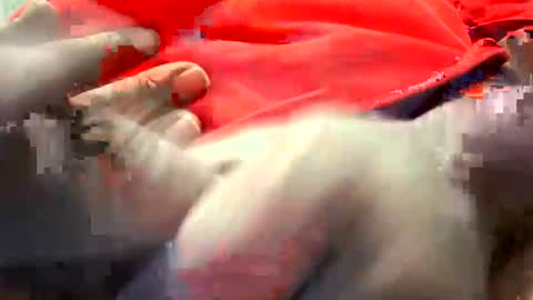 19bbc88 online show from November 29, 10:50 am