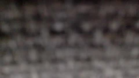 30nick online show from January 17, 6:49 am