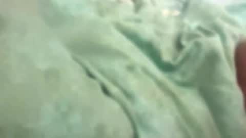 944t88 online show from February 7, 7:04 am