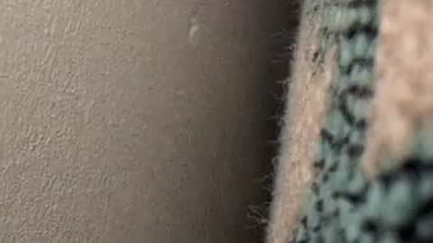 _nicetobehere_ online show from April 5, 12:01 pm