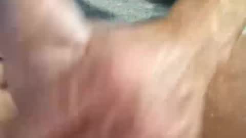 XXL online show from December 17, 8:21 pm