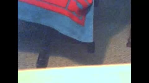 abbottino59 online show from February 2, 7:46 pm