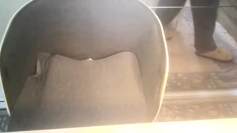 Ole online show from January 10, 9:34 am