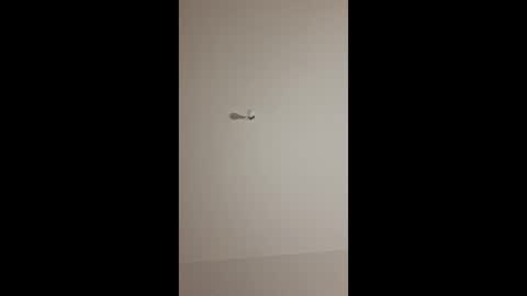 ahzakks1 online show from April 1, 2:02 am