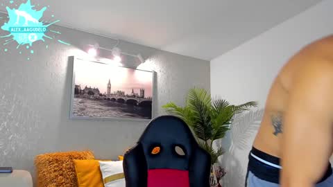 Snapshot of alex_zt chatting on January 29, 3:33 am x online show from January 29, 3:33 am