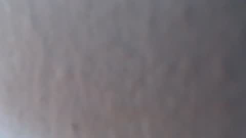 Alexamdergal online show from July 14, 7:31 pm