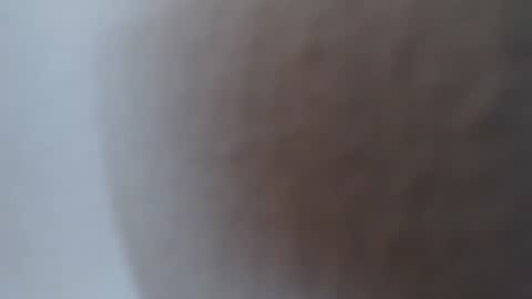 Alexamdergal online show from July 2, 5:30 pm
