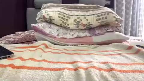 Snapshot of alexhotdevill chatting on September 30, 9:13 am alexhotdevill online show from September 30, 9:13 am