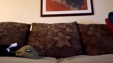 Alexinside you online show from April 13, 12:22 am