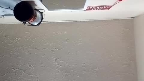 almightyjesos online show from October 30, 7:04 pm