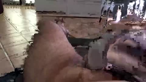 kenzo online show from October 5, 9:35 am