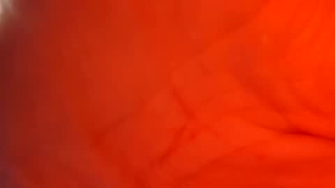 amiri_sweater online show from November 28, 8:06 am