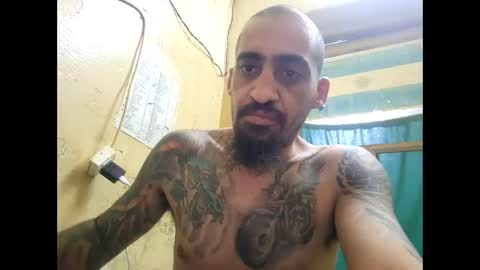 apapal12 online show from April 7, 6:02 am