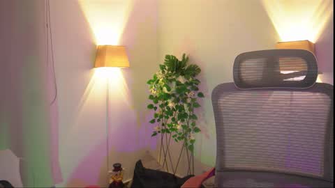 insta appolo master online show from November 29, 4:58 am