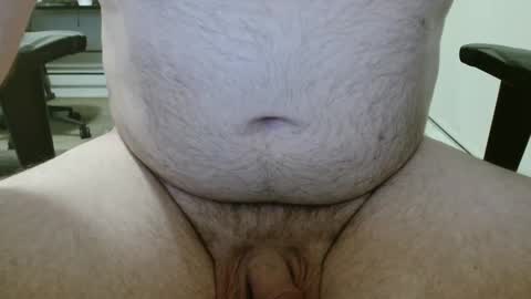 auscock83 online show from January 17, 12:08 pm