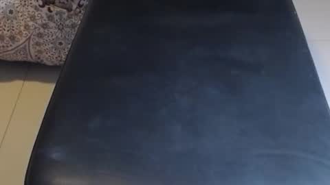 Snapshot of baker305 chatting on October 30, 2:46 am baker305 online show from October 30, 2:46 am