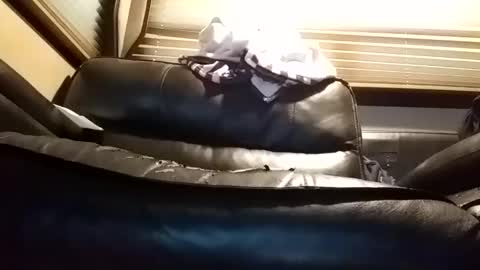 baobabtree8 online show from January 14, 1:06 pm