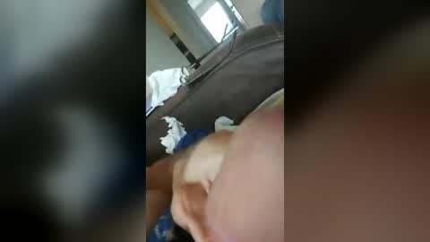barbitall online show from June 12, 2:04 pm