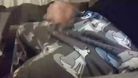 barrett4200 online show from January 20, 7:15 am