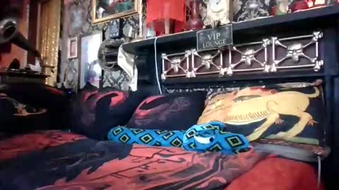 Bazza online show from February 18, 5:05 am