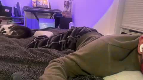 Snapshot of bb_boi326 chatting on October 24, 7:21 am bb_boi326 online show from October 24, 7:21 am