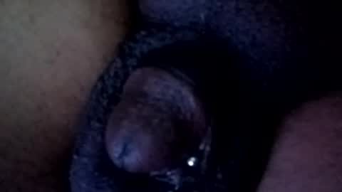 bcfalcon69 online show from April 2, 3:59 am