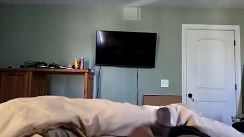 bdawg188 online show from October 15, 1:30 pm