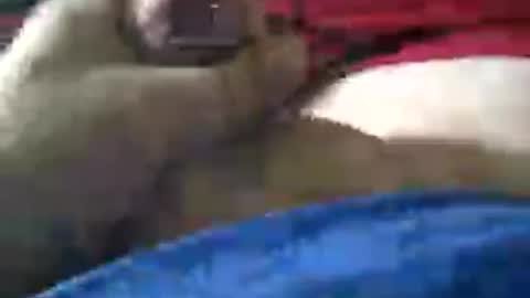 bdhorny33388 online show from April 29, 1:05 pm