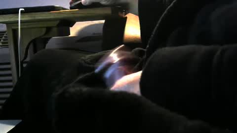 bear4146 online show from December 23, 4:17 pm