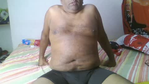 Grizzly   online show from January 28, 2:21 am