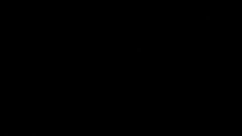 beeman2020 online show from October 16, 11:57 pm