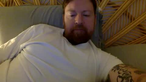 Beewolf online show from October 17, 10:25 pm