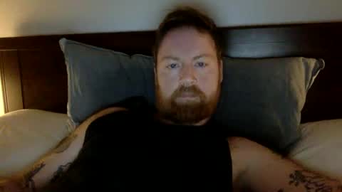 Beewolf online show from February 14, 10:26 pm