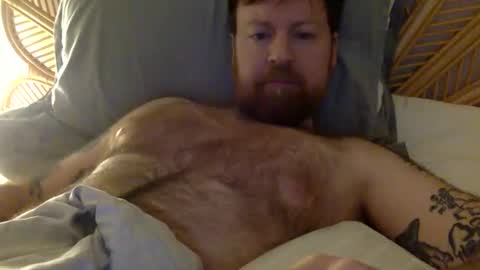 Beewolf online show from November 8, 2:26 am