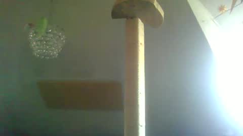 benizio online show from February 22, 11:02 am