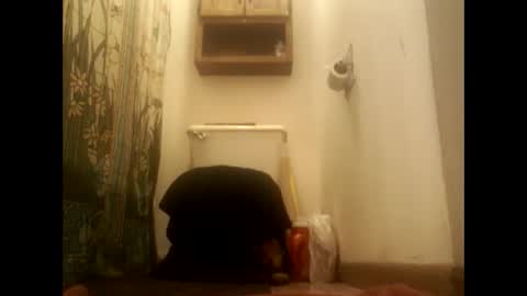 bidaddy5959 online show from October 5, 4:27 am