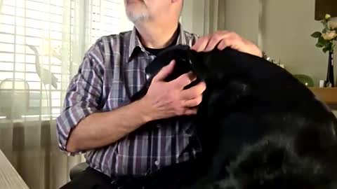 bigbibear88 online show from February 25, 11:22 am