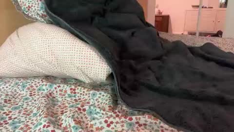 bigcollegecock69690 online show from June 24, 9:39 pm