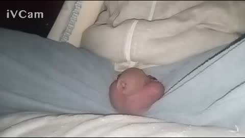 Big online show from February 2, 4:05 am