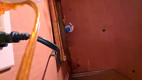 bigdickboogietx online show from September 22, 2:00 am