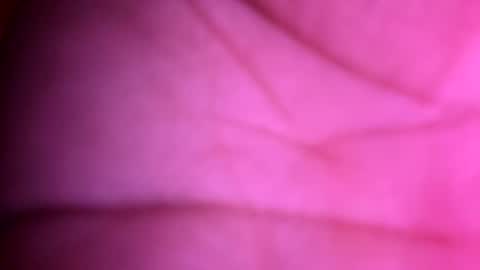 bigdickboogietx online show from October 5, 7:40 pm