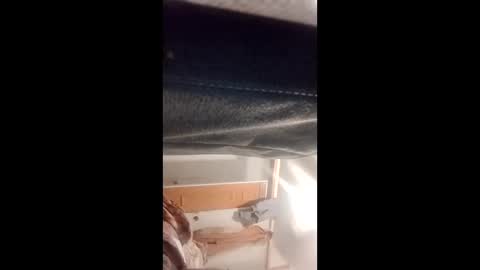 bigfinisher2288 online show from February 23, 1:57 pm