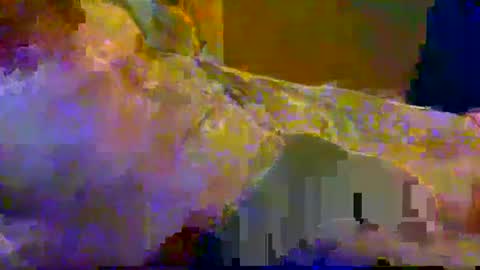 Snapshot of bigrigxxxx chatting on December 10, 12:16 pm bigrig online show from December 10, 12:16 pm