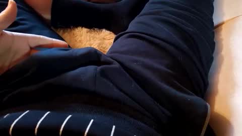 pocolococo online show from February 19, 7:05 am