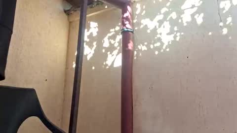 bisexdadd online show from October 29, 11:13 am