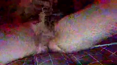 bkjdogfornow online show from January 16, 6:14 am