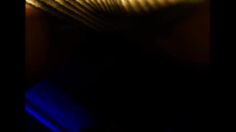 Snapshot of blackcat2701 chatting on December 15, 9:03 am gingerfun online show from December 15, 9:03 am