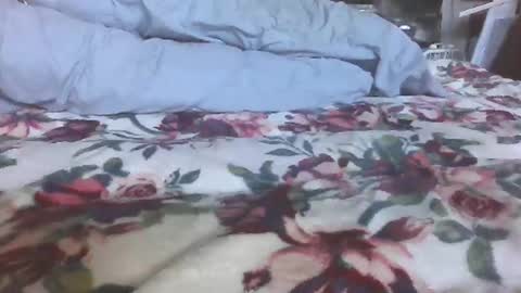 blame1269 online show from October 27, 7:05 pm