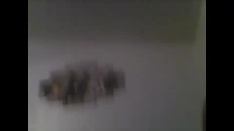 blwestern online show from February 16, 2:42 am